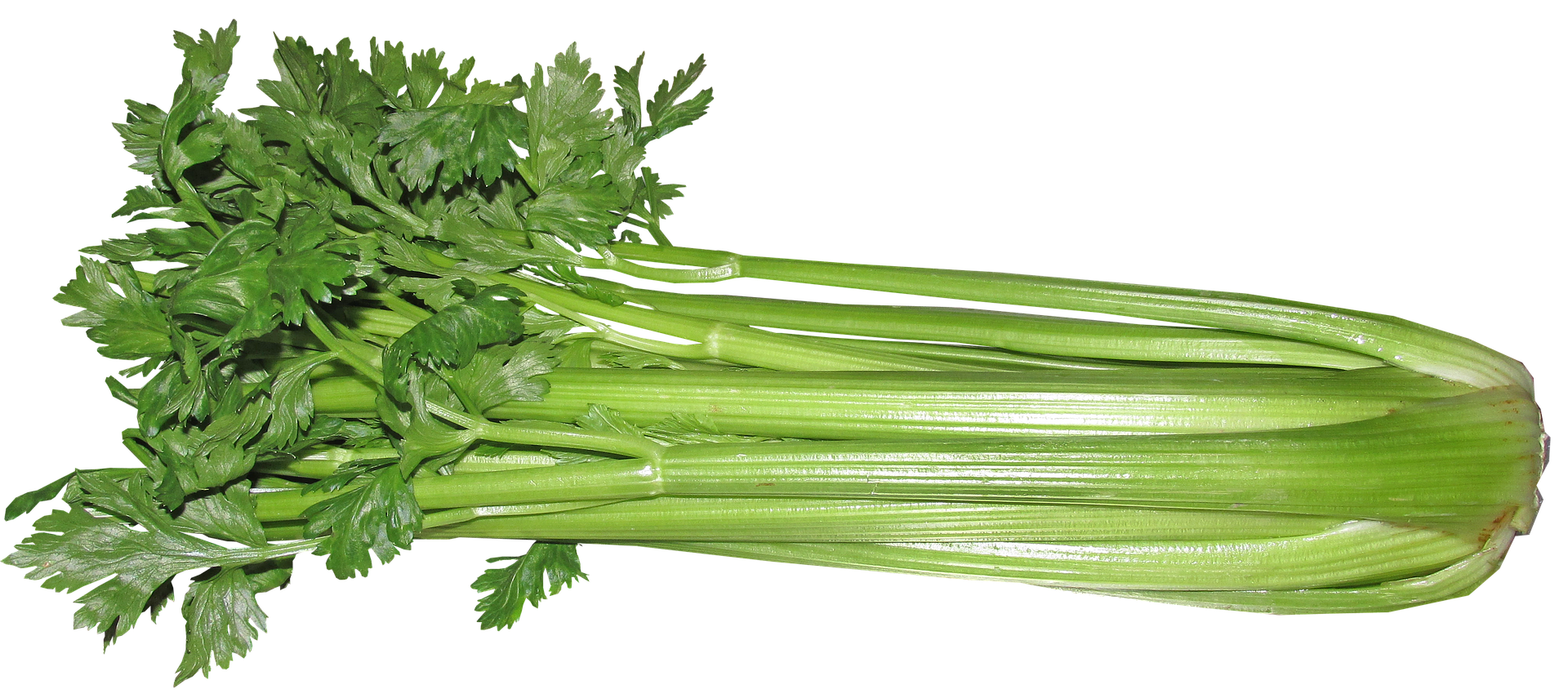 zeller